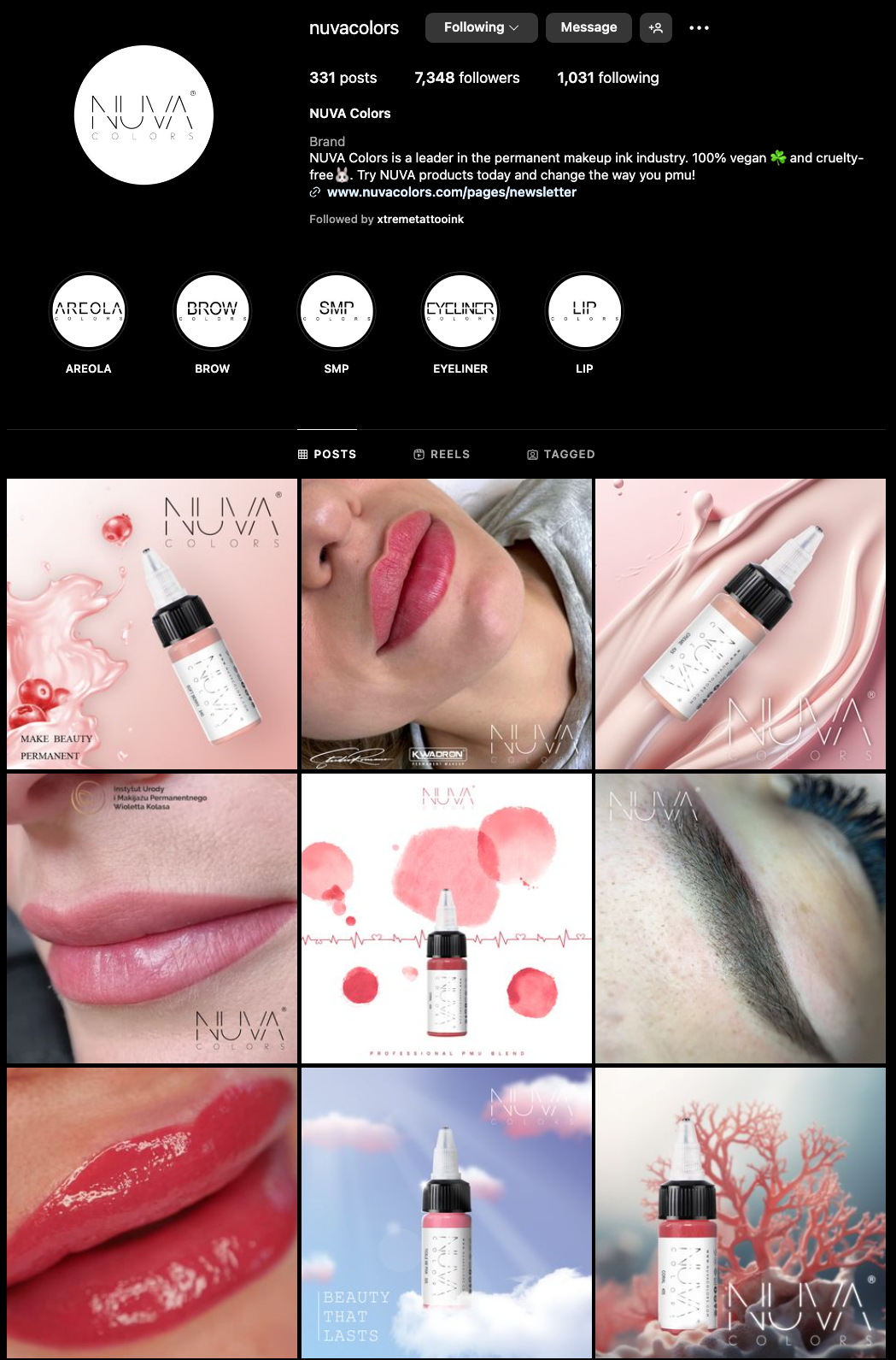 Navigating the Intricacies of Pigments and Techniques in Permanent Makeup (PMU)