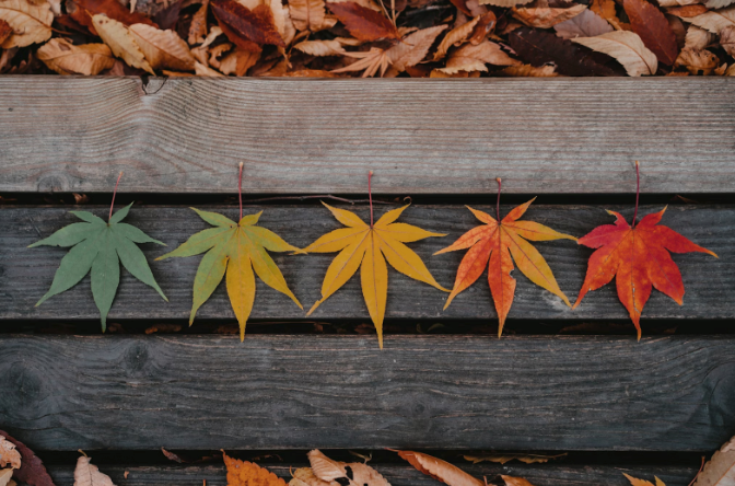 Seasonal Trends in Permanent Makeup