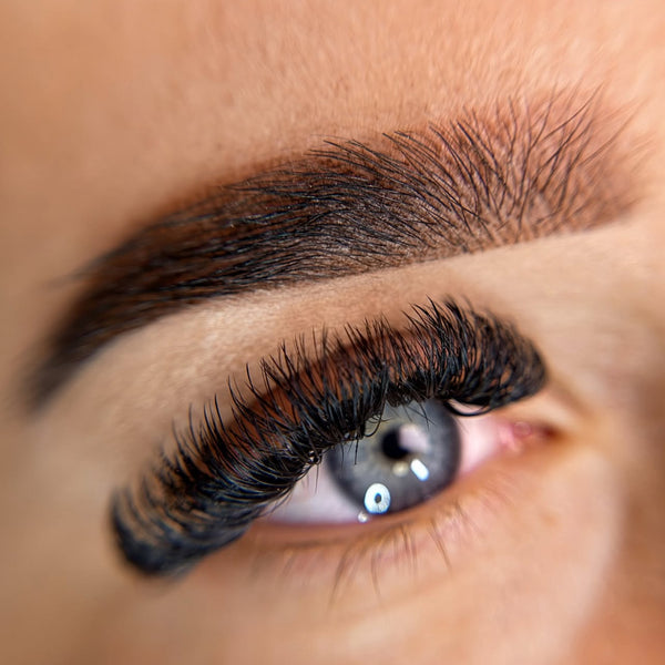 Eyebrow Collection