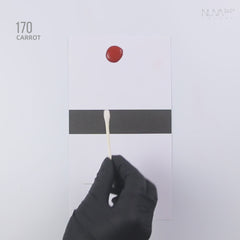 170 Carrot | RC
