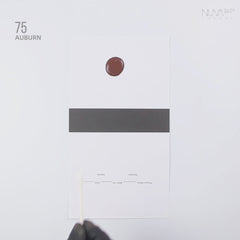 75 Auburn | RC